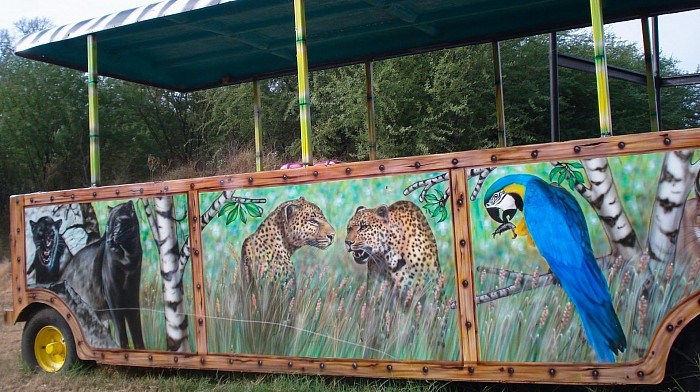 painting decoration in cart for zoo