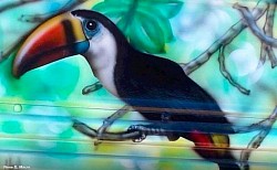 Tucan