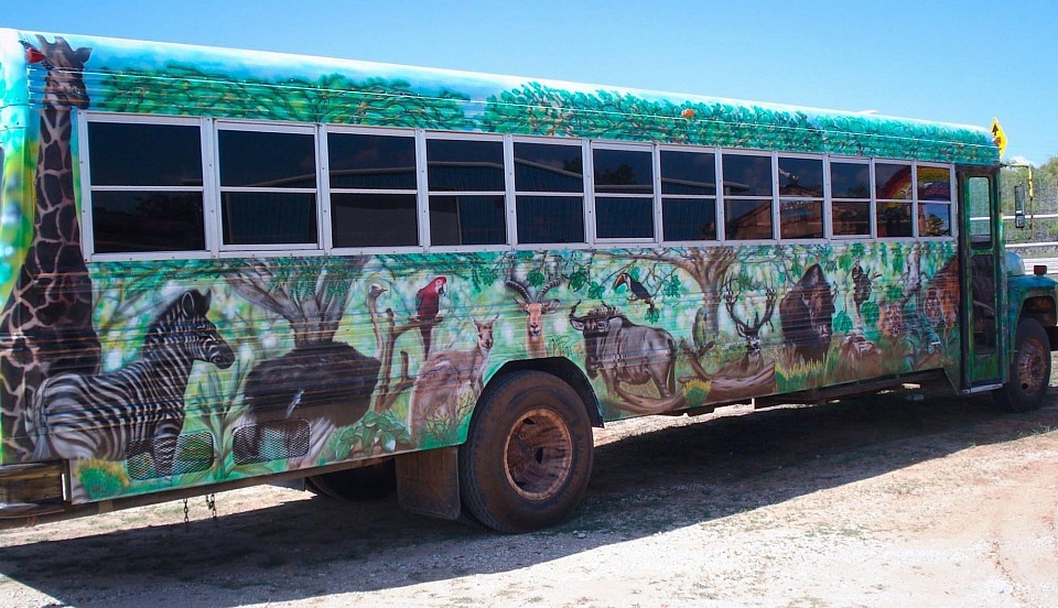 I work on a safari-style bus. The animals' view of their gaze is in front, and this painting is done on both sides of the bus.